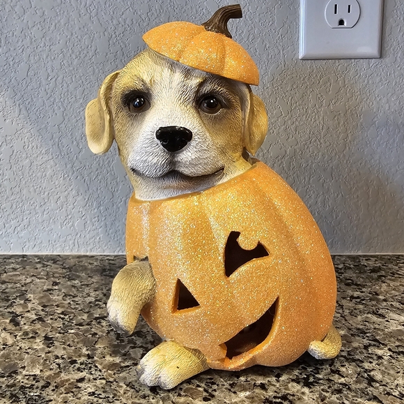 Very Cute Puppy in a Jack-o-Lantern - Excellent Condition - Picture 2 of 5